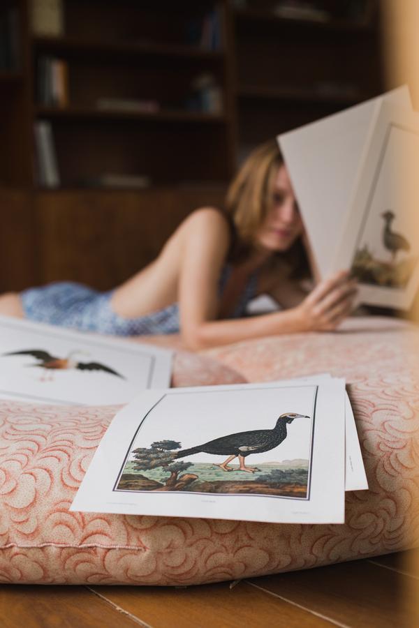 Chez Georges Bed & Breakfast ริโอเดจาเนโร ภายนอก รูปภาพ